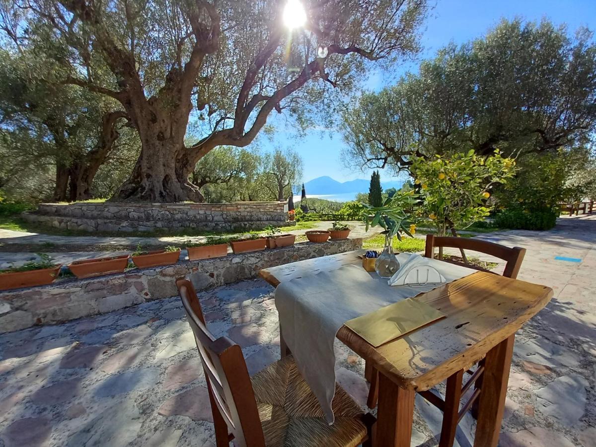 Pie' D'Ulivo Guest House Bosco  Екстериор снимка