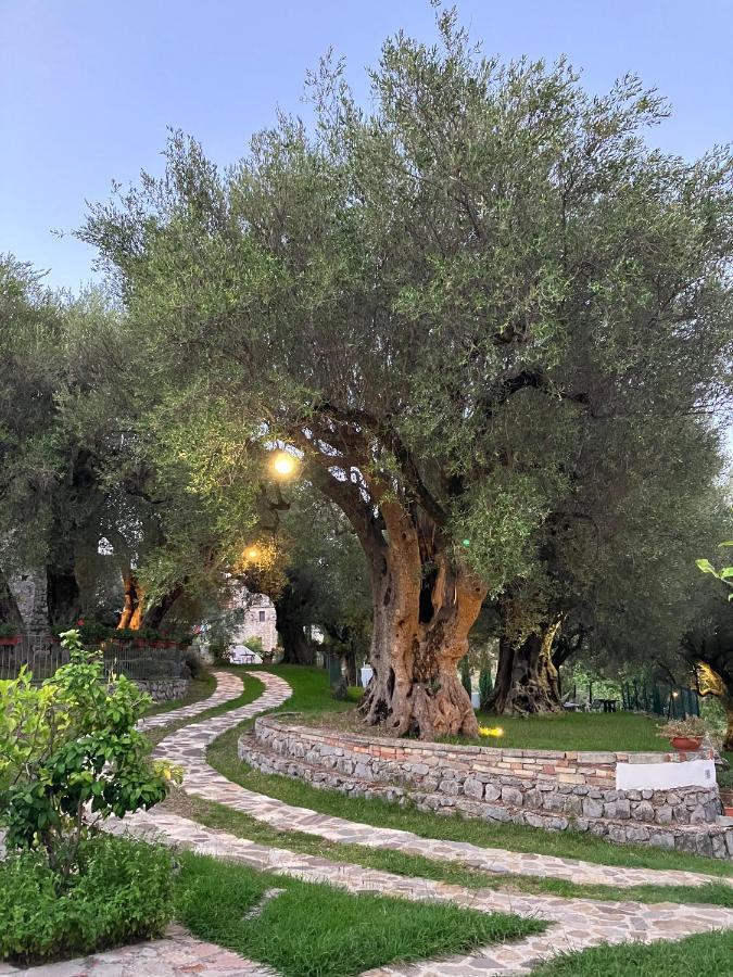 Pie' D'Ulivo Guest House Bosco  Екстериор снимка