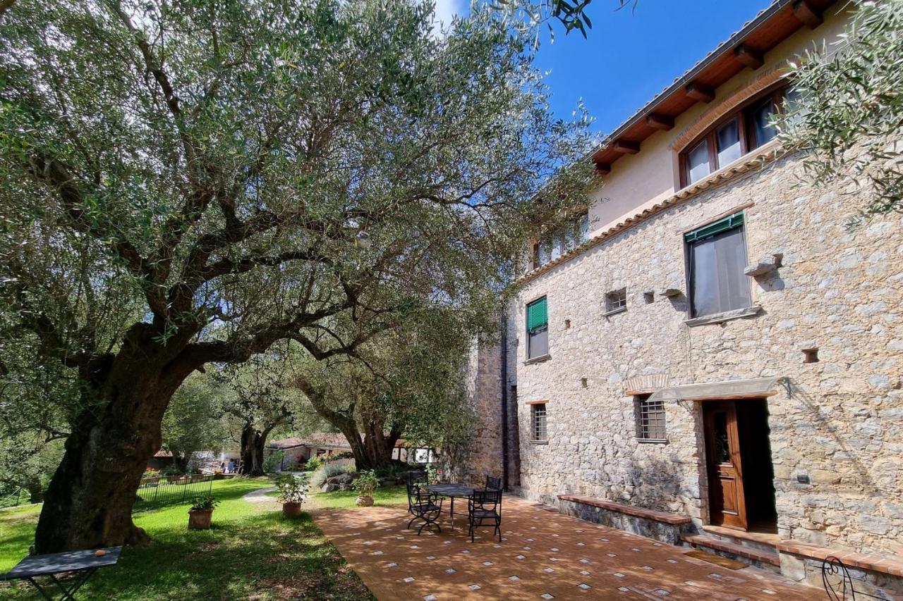 Pie' D'Ulivo Guest House Bosco  Екстериор снимка