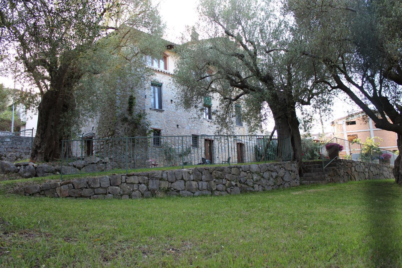 Pie' D'Ulivo Guest House Bosco  Екстериор снимка
