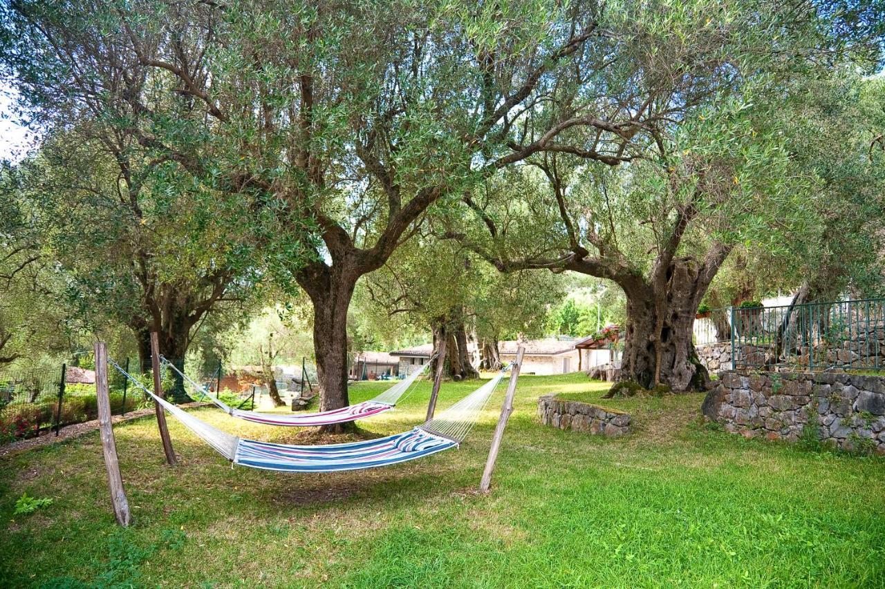 Pie' D'Ulivo Guest House Bosco  Екстериор снимка