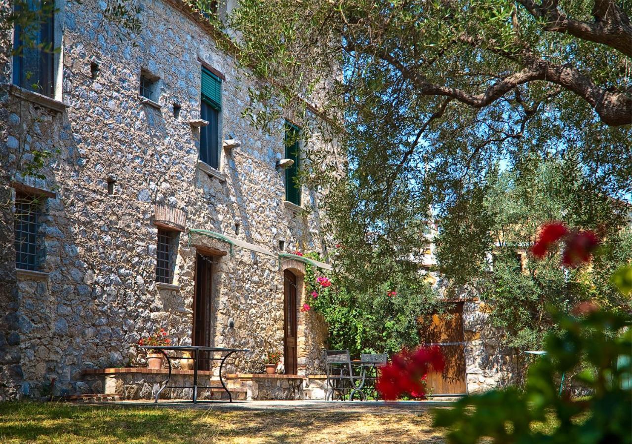 Pie' D'Ulivo Guest House Bosco  Екстериор снимка