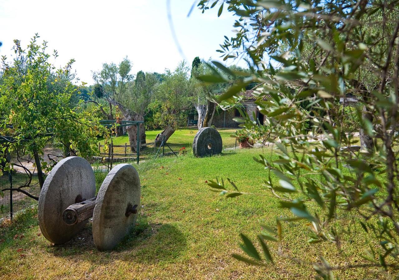Pie' D'Ulivo Guest House Bosco  Екстериор снимка