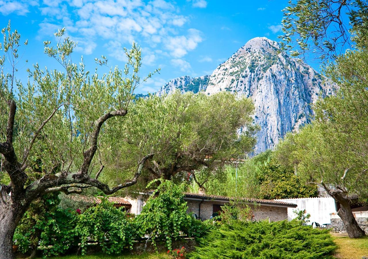 Pie' D'Ulivo Guest House Bosco  Екстериор снимка